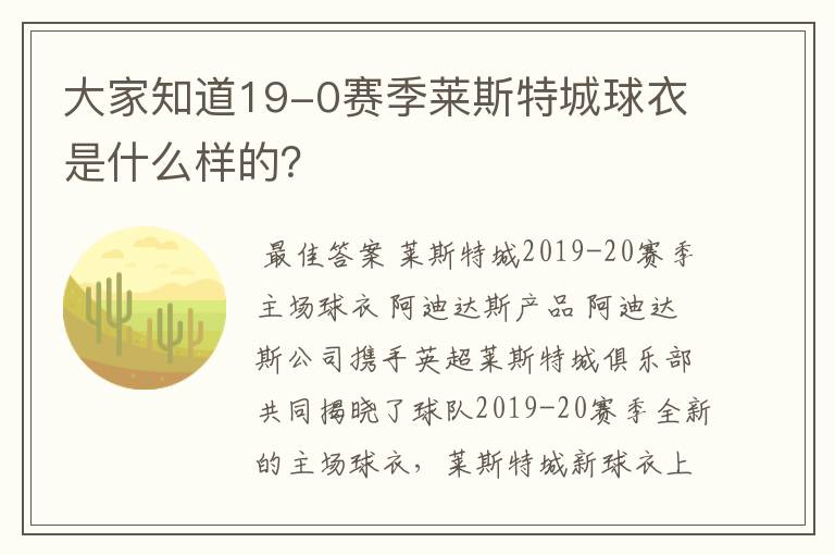 大家知道19-0赛季莱斯特城球衣是什么样的？