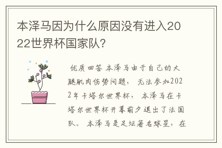 本泽马因为什么原因没有进入2022世界杯国家队？