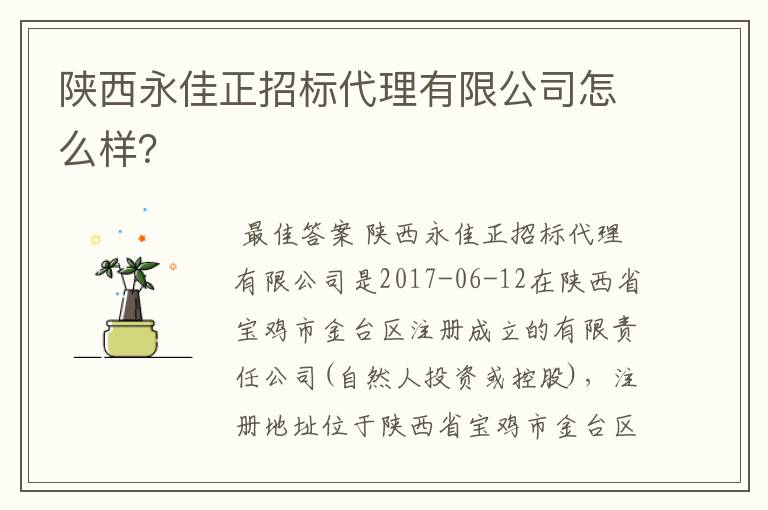 陕西永佳正招标代理有限公司怎么样？