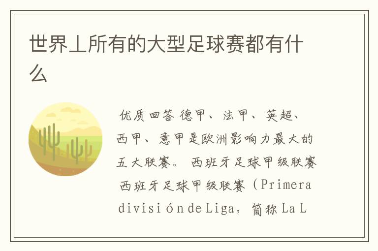 世界丄所有的大型足球赛都有什么