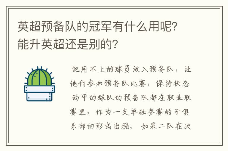 英超预备队的冠军有什么用呢？能升英超还是别的？