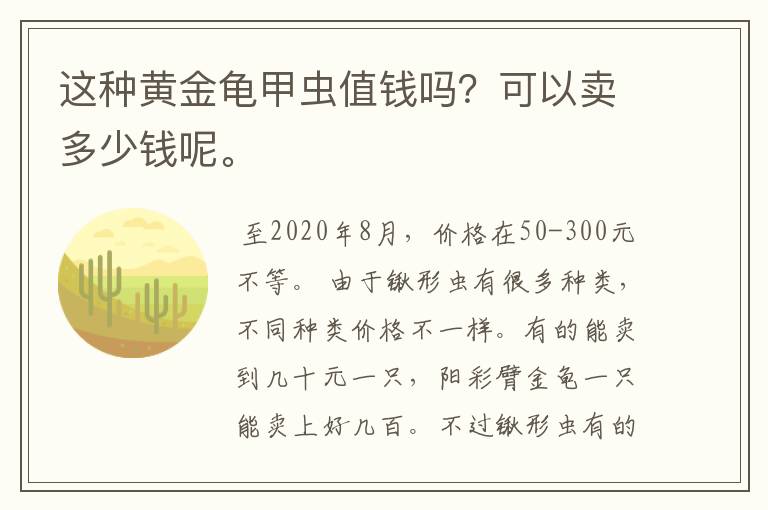 这种黄金龟甲虫值钱吗？可以卖多少钱呢。