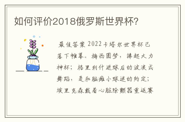 如何评价2018俄罗斯世界杯？