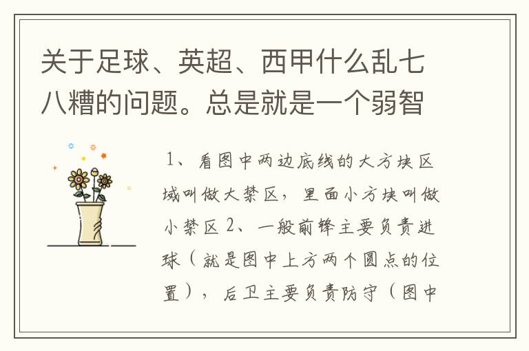 关于足球、英超、西甲什么乱七八糟的问题。总是就是一个弱智新手的N问。