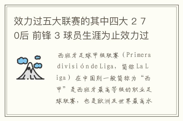 效力过五大联赛的其中四大 2 70后 前锋 3 球员生涯为止效力过8支球队 4 其中一联赛拿过联赛冠军 5 欧冠冠