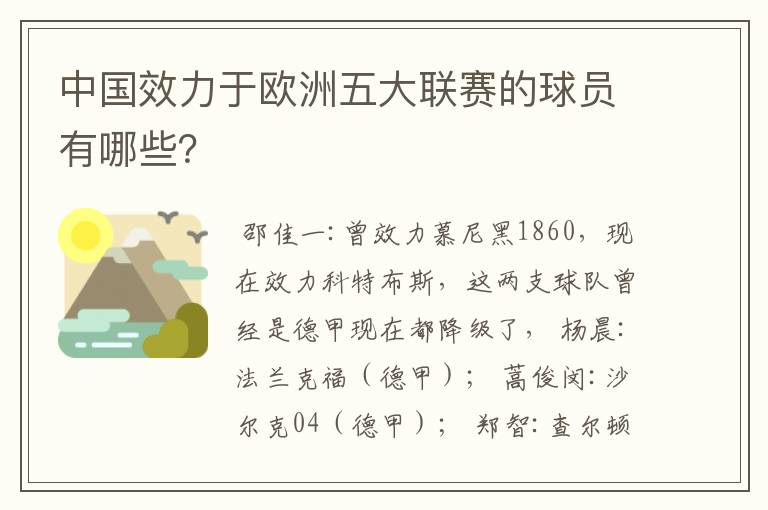 中国效力于欧洲五大联赛的球员有哪些？