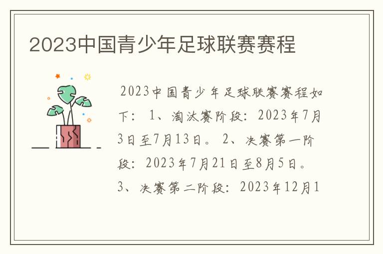 2023中国青少年足球联赛赛程