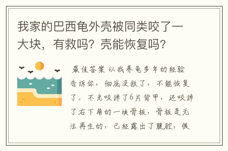 我家的巴西龟外壳被同类咬了一大块，有救吗？壳能恢复吗?