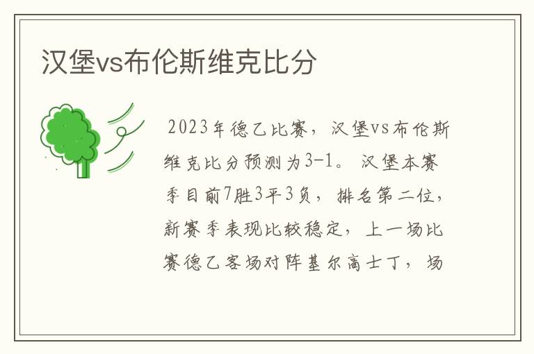 汉堡vs布伦斯维克比分