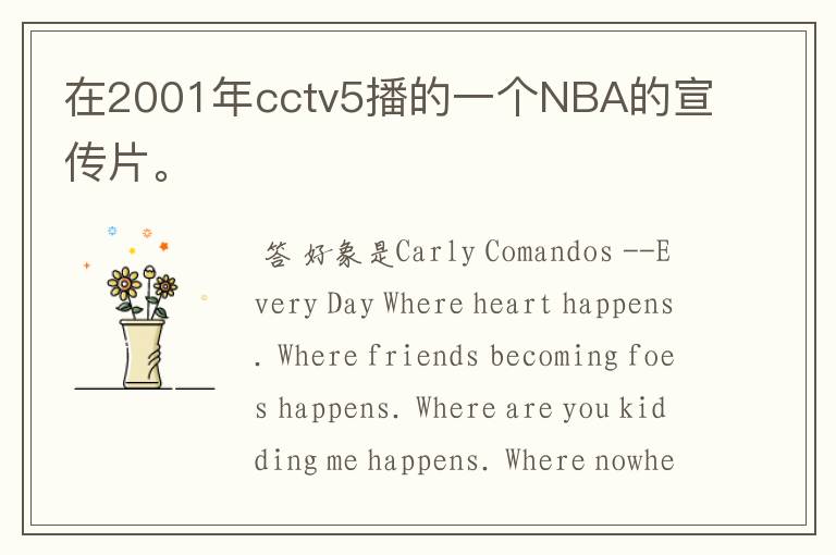 在2001年cctv5播的一个NBA的宣传片。