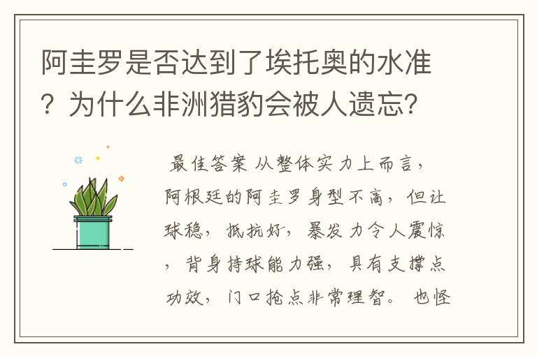 阿圭罗是否达到了埃托奥的水准？为什么非洲猎豹会被人遗忘？