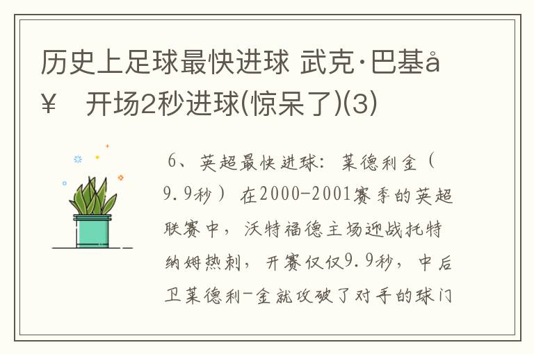 历史上足球最快进球 武克·巴基奇开场2秒进球(惊呆了)(3)