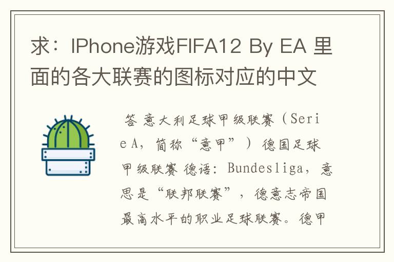 求：IPhone游戏FIFA12 By EA 里面的各大联赛的图标对应的中文名称 例如：Liga BBVA 西甲