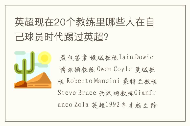 英超现在20个教练里哪些人在自己球员时代踢过英超?