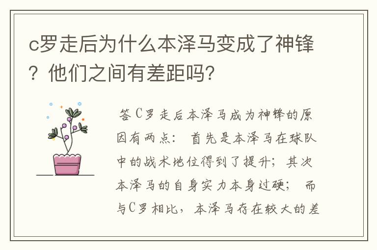 c罗走后为什么本泽马变成了神锋？他们之间有差距吗？