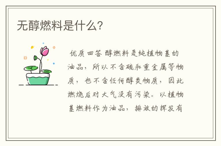 无醇燃料是什么？