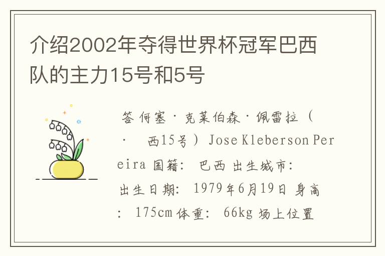 介绍2002年夺得世界杯冠军巴西队的主力15号和5号