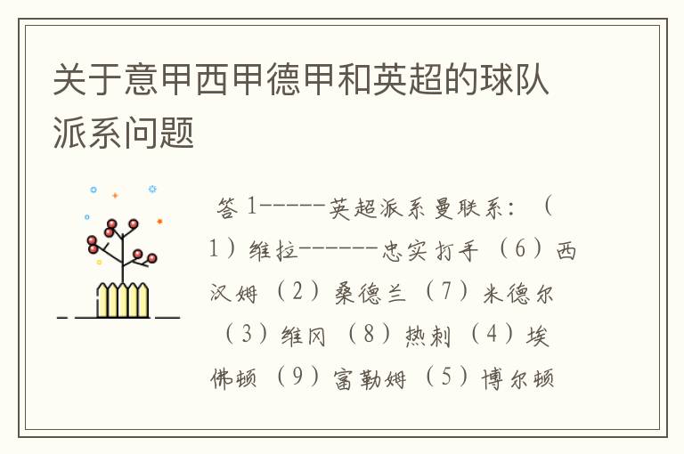 关于意甲西甲德甲和英超的球队派系问题