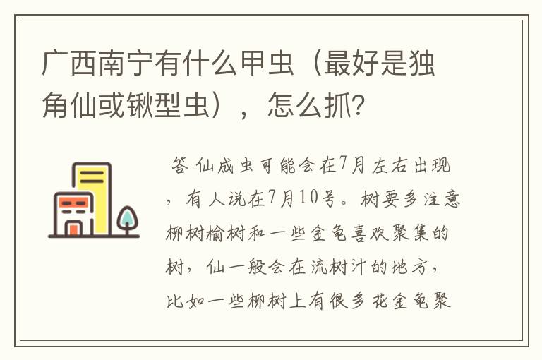 广西南宁有什么甲虫（最好是独角仙或锹型虫），怎么抓？