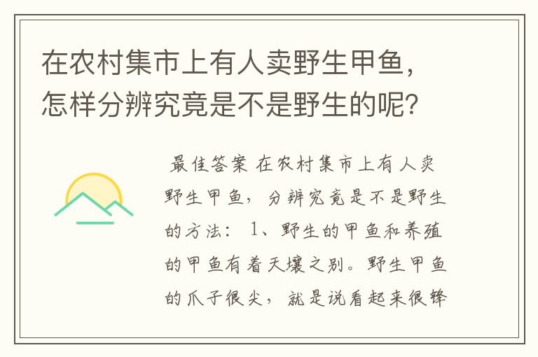 在农村集市上有人卖野生甲鱼，怎样分辨究竟是不是野生的呢？