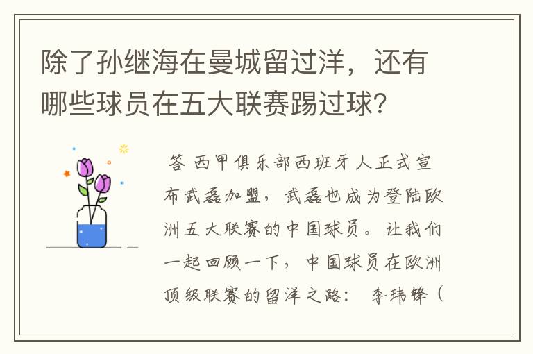 除了孙继海在曼城留过洋，还有哪些球员在五大联赛踢过球？