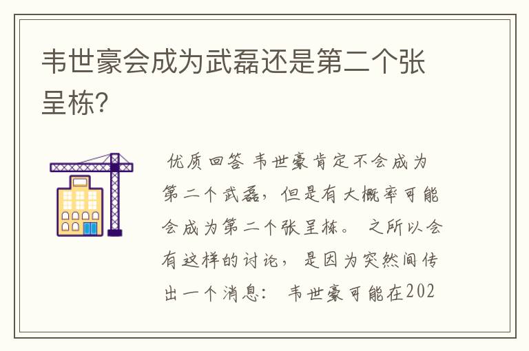 韦世豪会成为武磊还是第二个张呈栋？