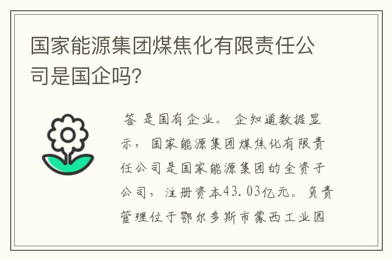 国家能源集团煤焦化有限责任公司是国企吗？