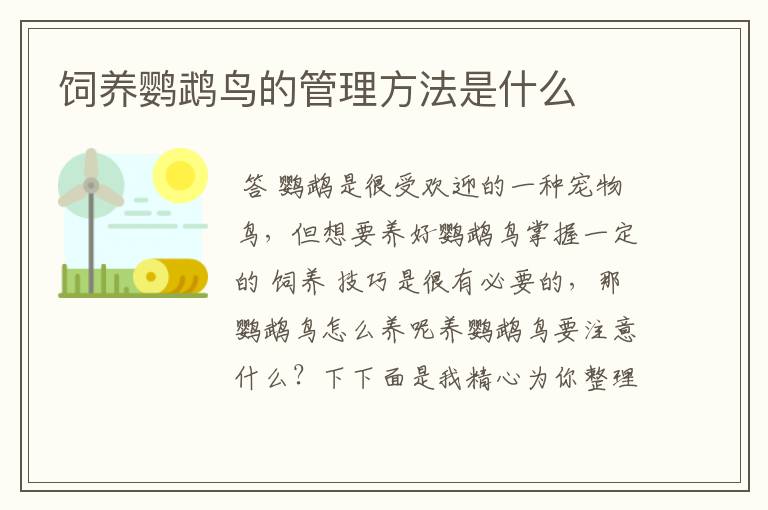 饲养鹦鹉鸟的管理方法是什么