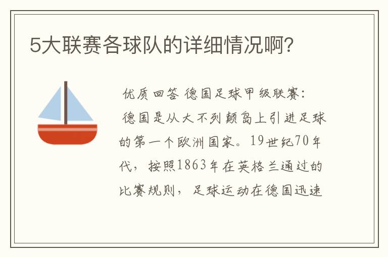 5大联赛各球队的详细情况啊？