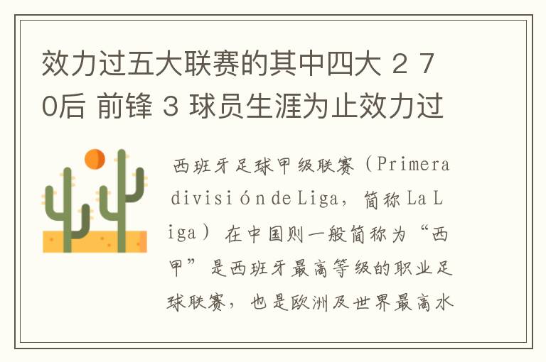 效力过五大联赛的其中四大 2 70后 前锋 3 球员生涯为止效力过8支球队 4 其中一联赛拿过联赛冠军 5 欧冠冠