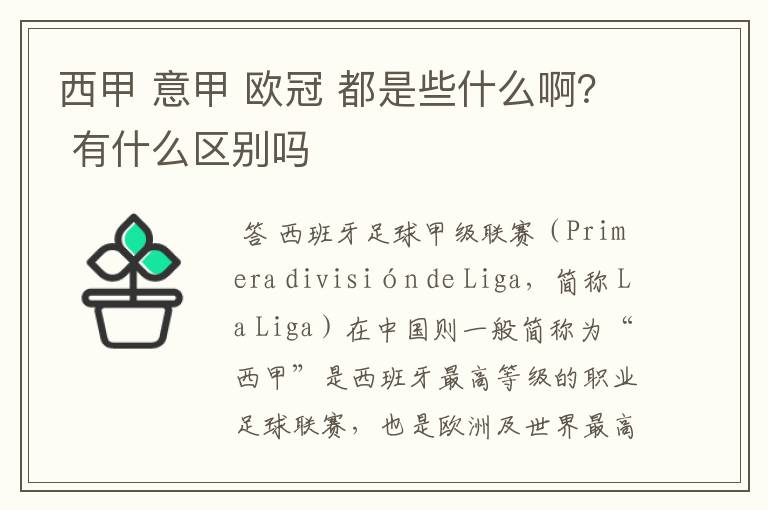 西甲 意甲 欧冠 都是些什么啊？ 有什么区别吗