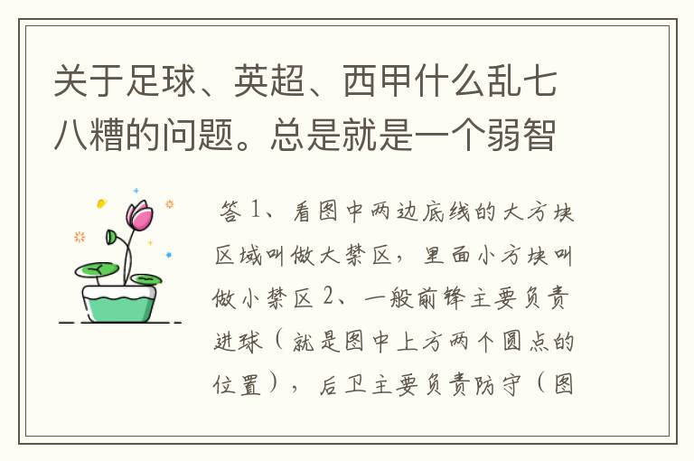 关于足球、英超、西甲什么乱七八糟的问题。总是就是一个弱智新手的N问。