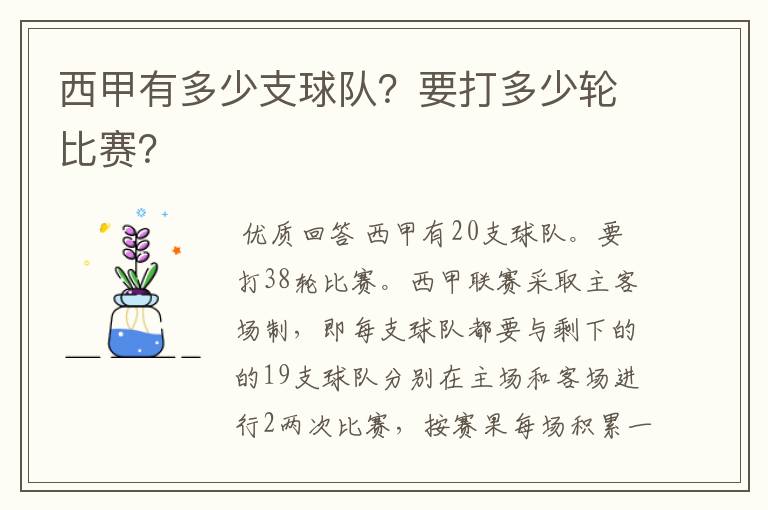 西甲有多少支球队？要打多少轮比赛？