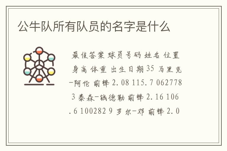 公牛队所有队员的名字是什么