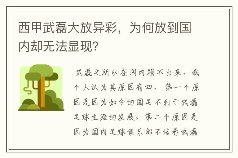 西甲武磊大放异彩，为何放到国内却无法显现？