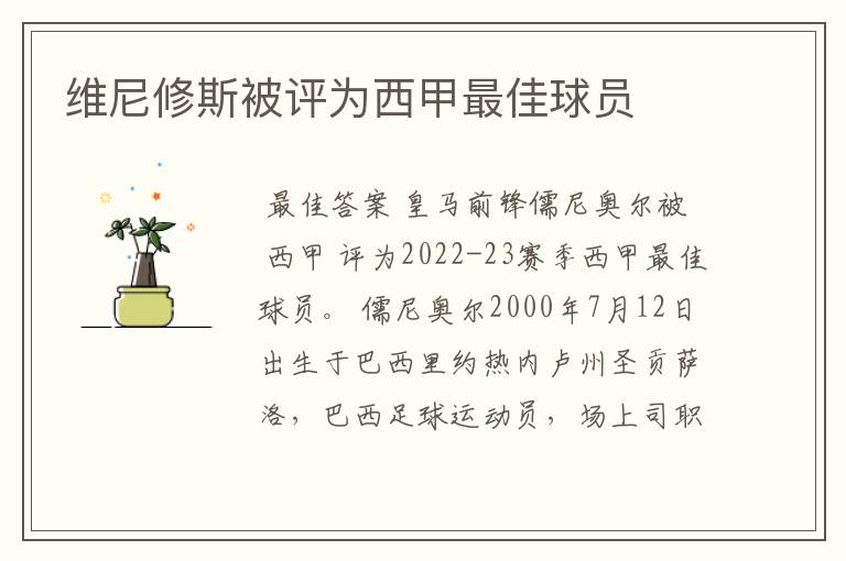 维尼修斯被评为西甲最佳球员