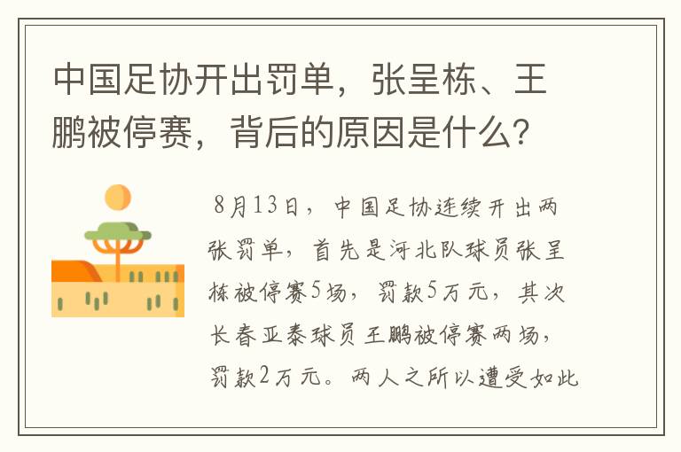 中国足协开出罚单，张呈栋、王鹏被停赛，背后的原因是什么？