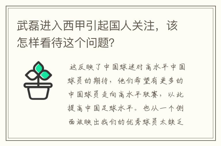 武磊进入西甲引起国人关注，该怎样看待这个问题？