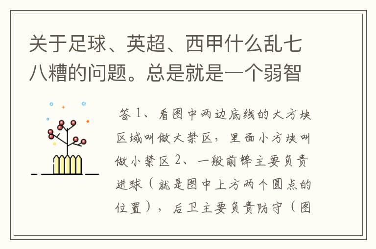 关于足球、英超、西甲什么乱七八糟的问题。总是就是一个弱智新手的N问。