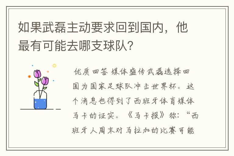 如果武磊主动要求回到国内，他最有可能去哪支球队？