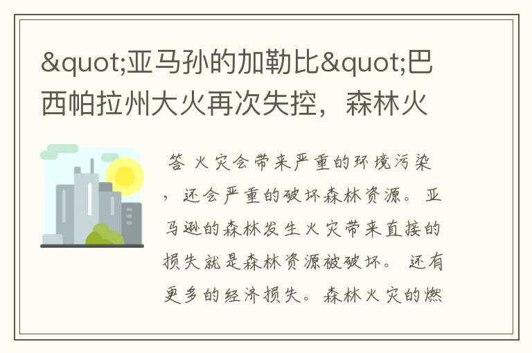 "亚马孙的加勒比"巴西帕拉州大火再次失控，森林火灾会带来什么危害？