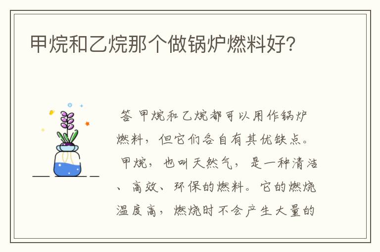 甲烷和乙烷那个做锅炉燃料好？