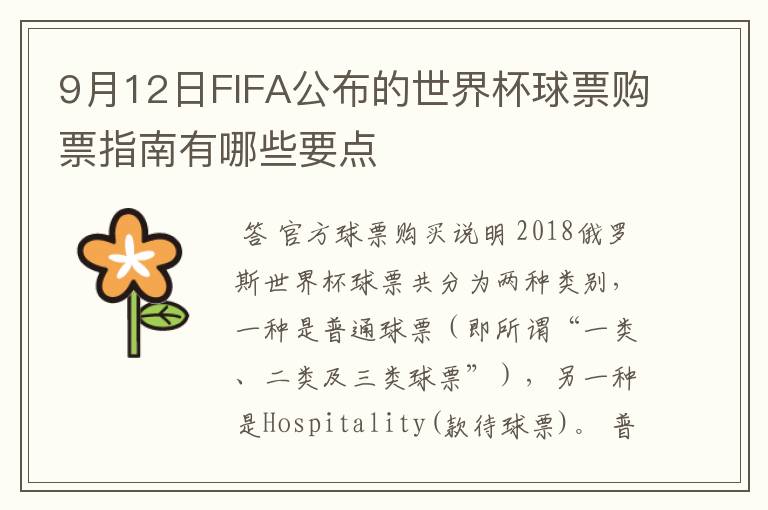 9月12日FIFA公布的世界杯球票购票指南有哪些要点