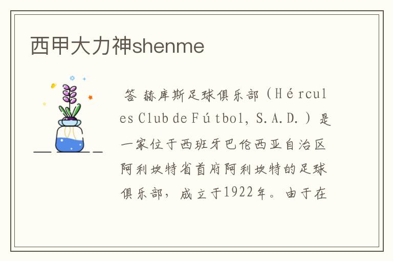 西甲大力神shenme