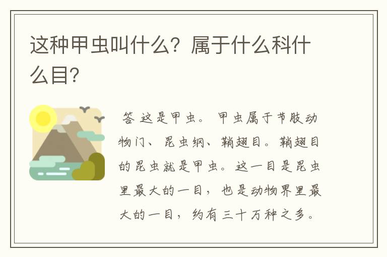 这种甲虫叫什么？属于什么科什么目？