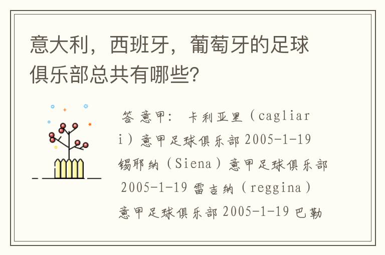 意大利，西班牙，葡萄牙的足球俱乐部总共有哪些？