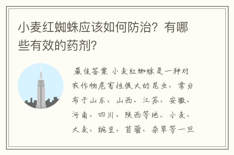 小麦红蜘蛛应该如何防治？有哪些有效的药剂？