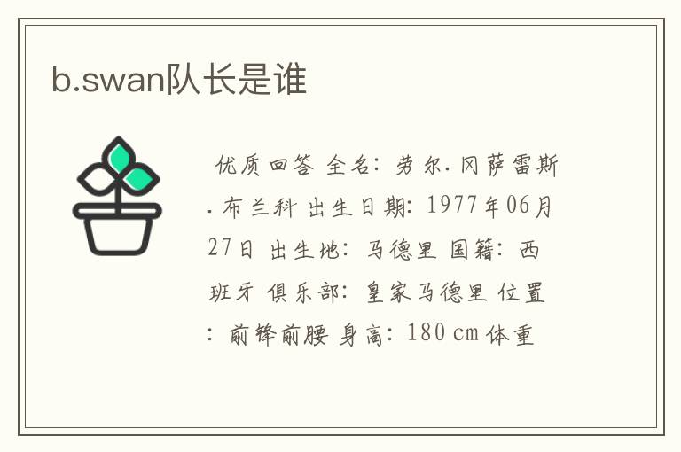 b.swan队长是谁