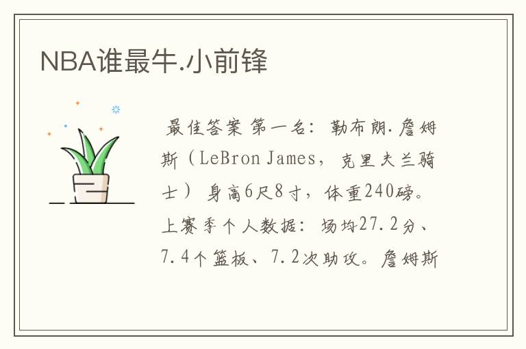 NBA谁最牛.小前锋