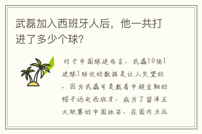 武磊加入西班牙人后，他一共打进了多少个球？